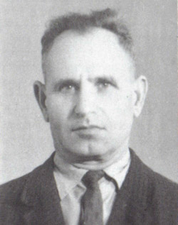 Ben-Zion Faibelis
